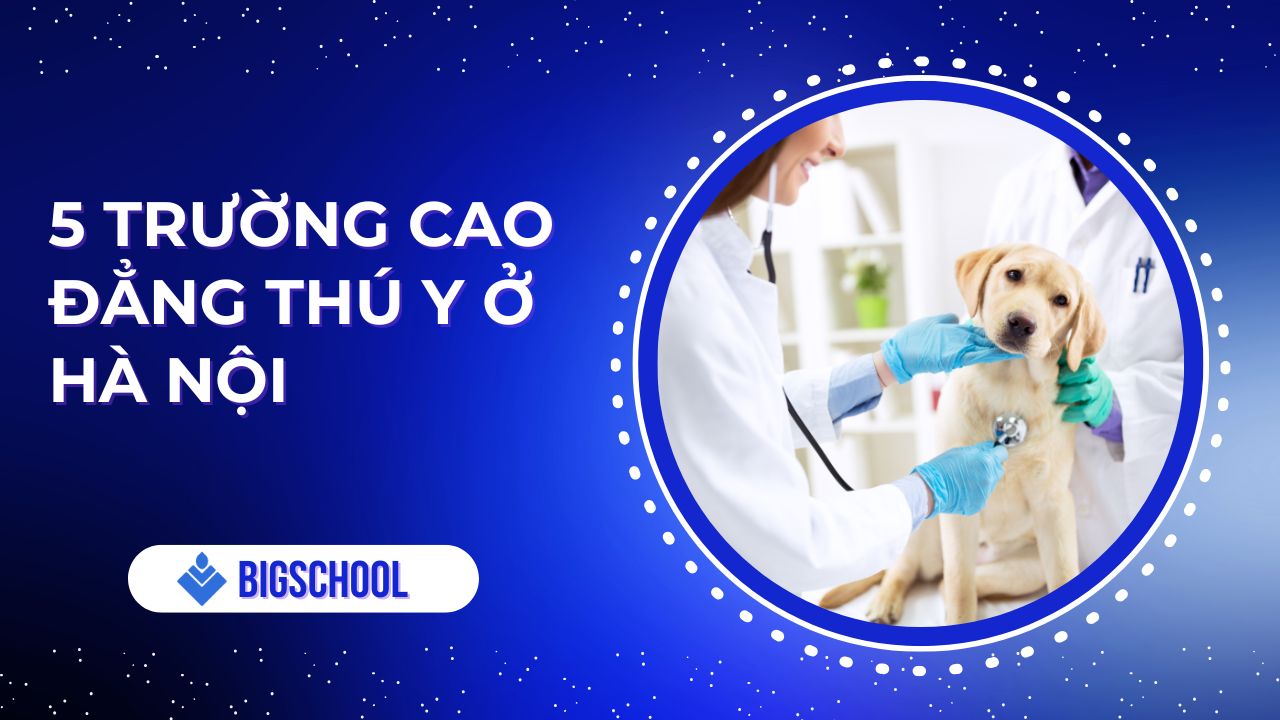 các trường cao đẳng thú y ở hà nội