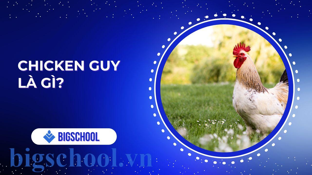 chicken guy là gì