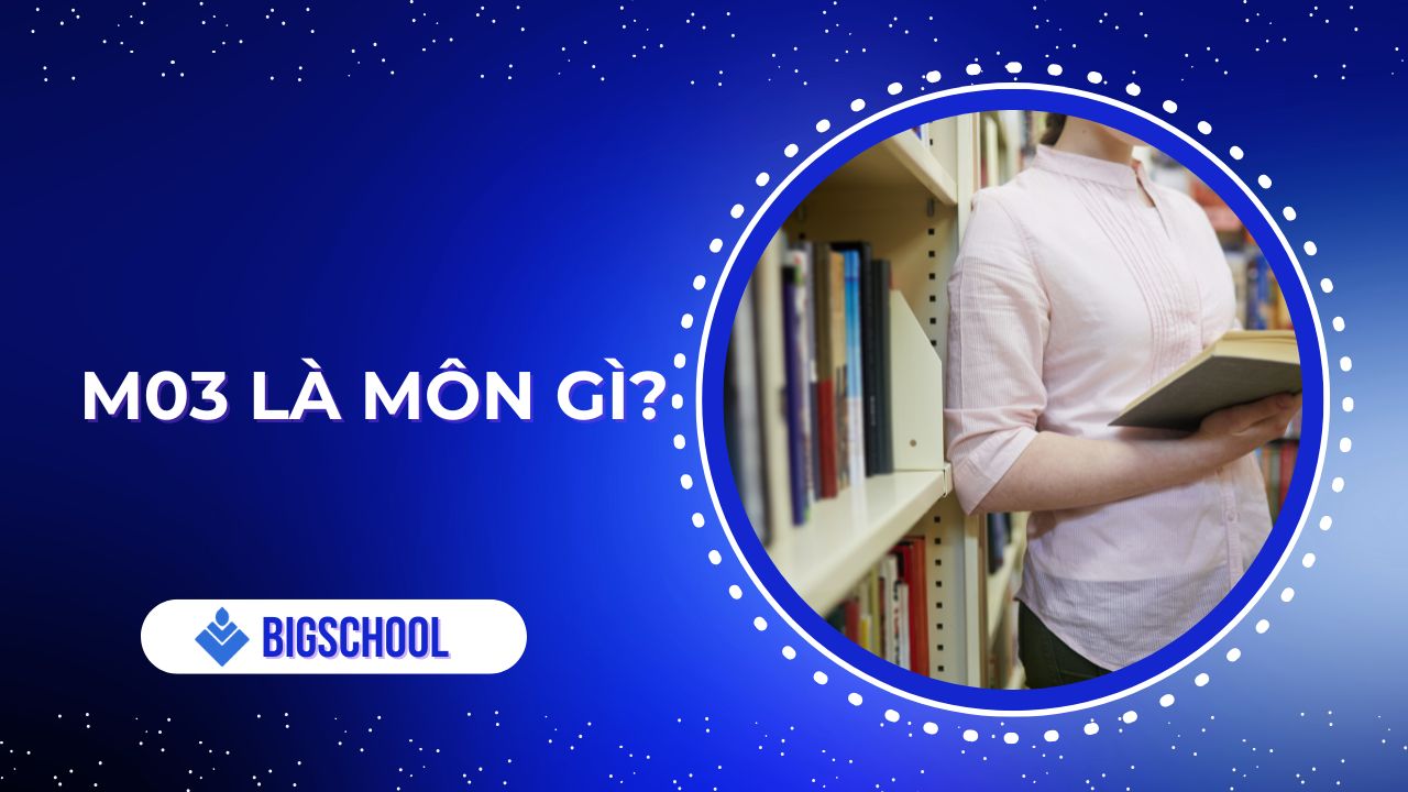 m03 là tổ hợp môn gì