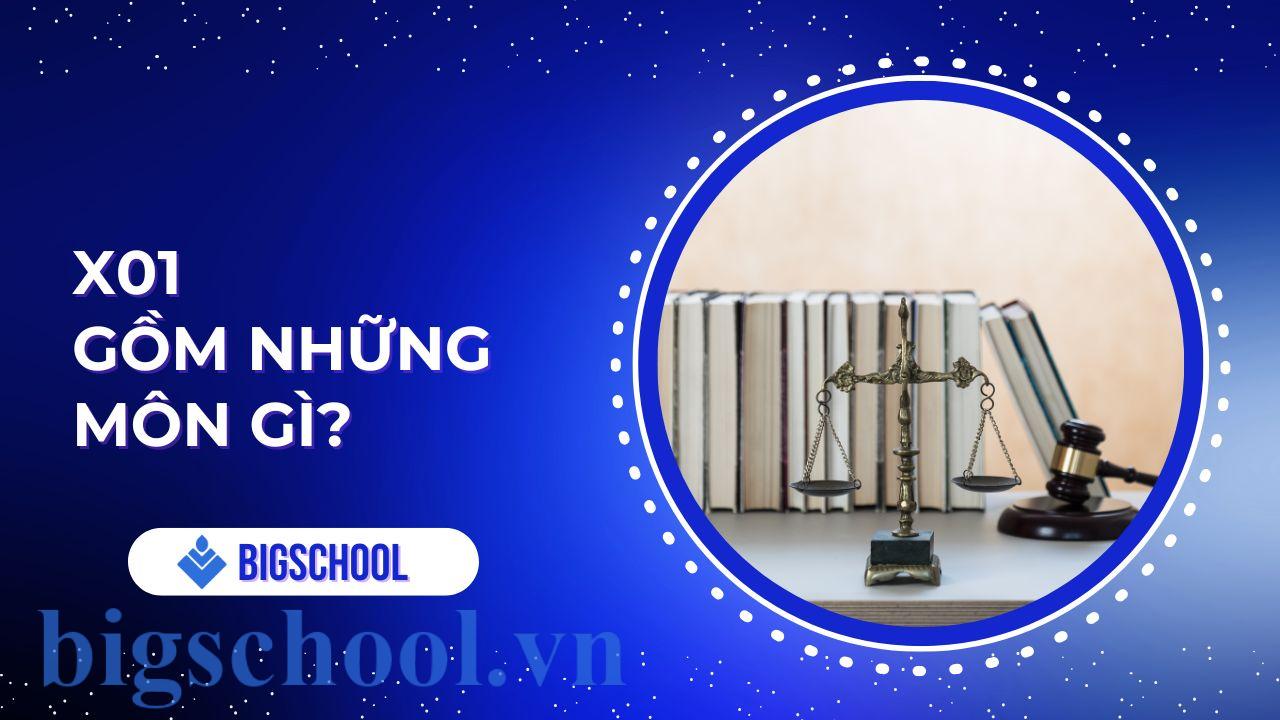 X01 gồm những môn gì