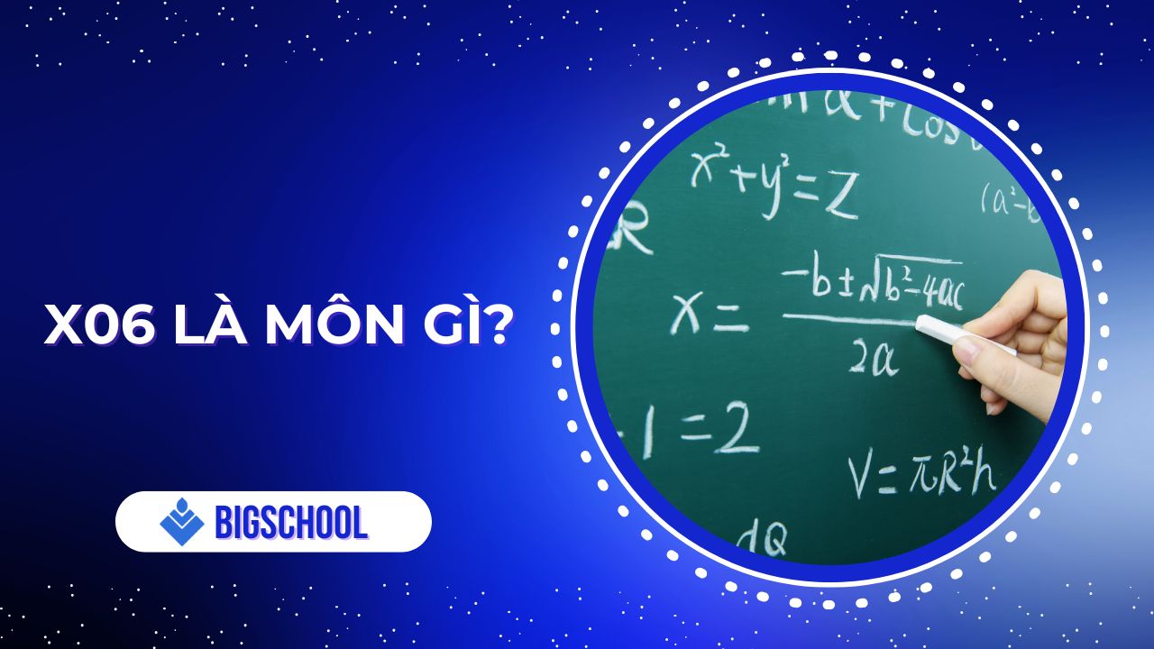 x06 là môn gì