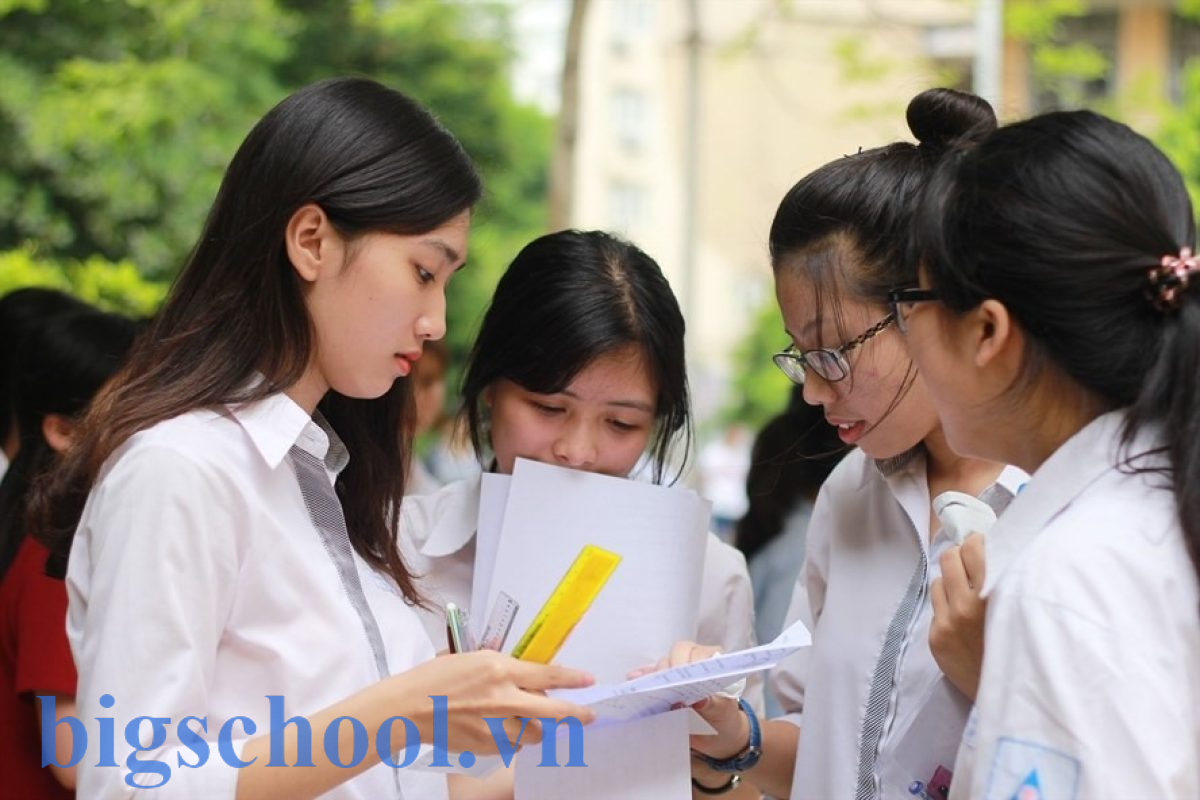 x gom nhung mon nao 1 1