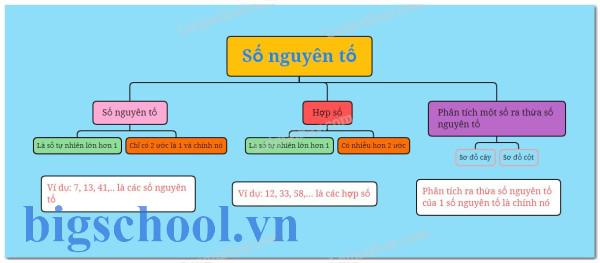 Lý thuyết Số nguyên tố. Hợp số. Phân tích một số ra thừa | Bài tập 365