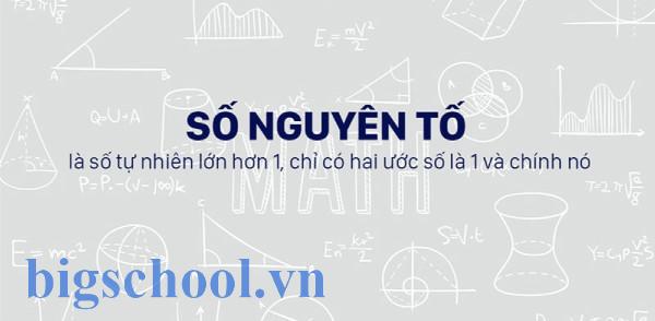 Số nguyên tố là gì? Tính chất, các phương pháp tìm số nguyên tố