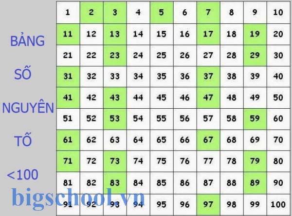 Số nguyên tố là gì? 10 Bài Tập Cơ Bản Về Số Nguyên Tố.