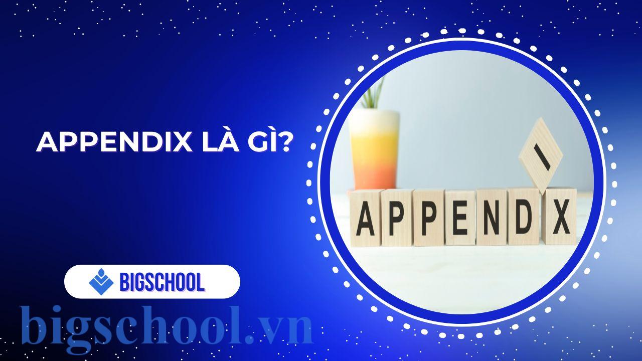 Appendix là gì
