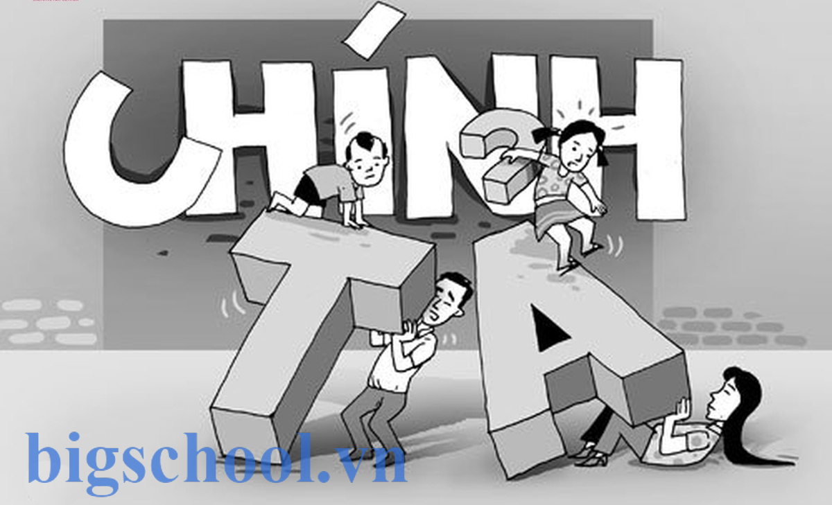 chinh ta la gi 1