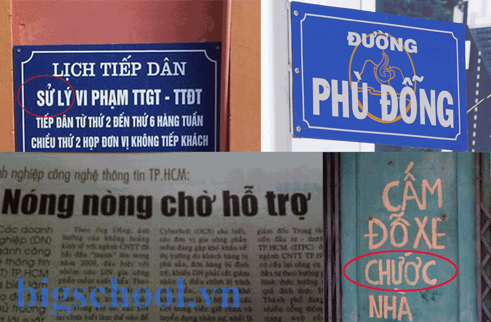 chinh ta la gi 3