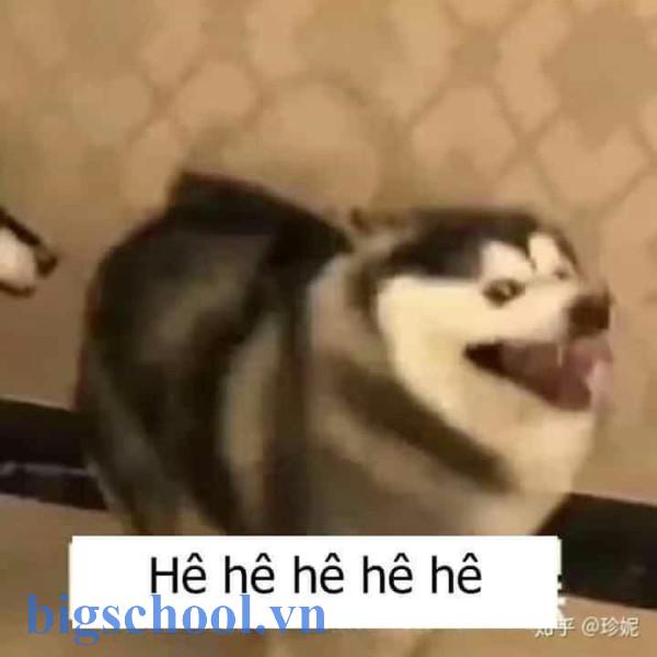 Hê hê hê =))