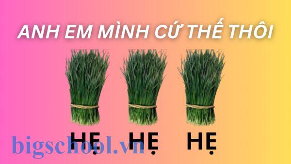 Anh em mình cứ thế thôi hẹ hẹ hẹ" là gì mà gây sốt TikTok?