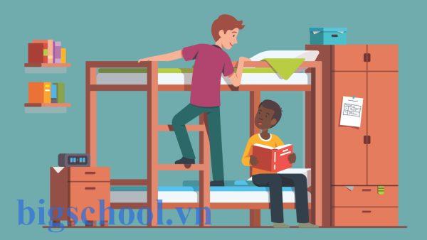 Lời khuyên học từ “roommate” hiệu quả