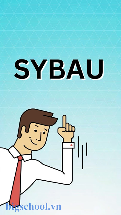 sybau la gi 2