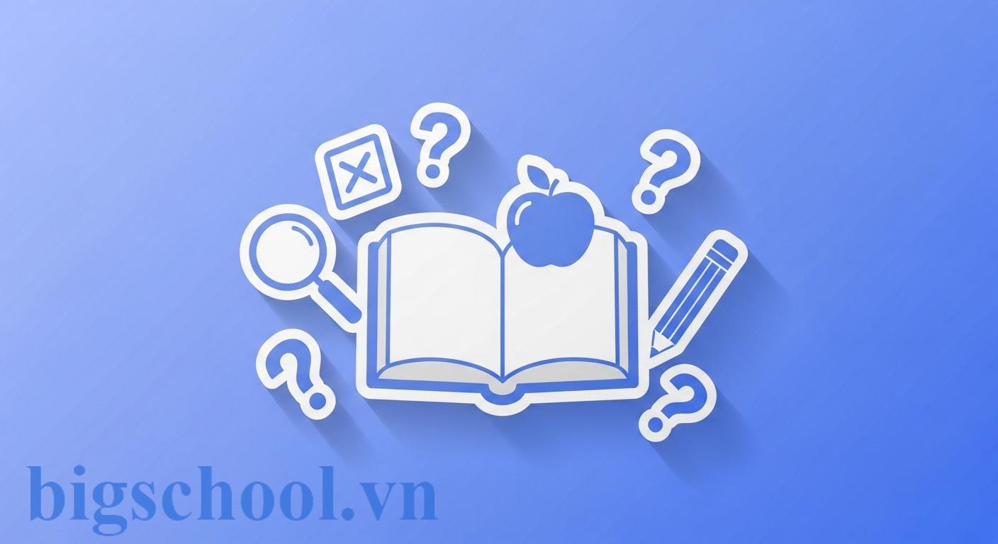 Ảnh đại diện Tải Bộ Đề Thi IOE Lớp 6 Năm 2025 Có File Nghe Kèm Đáp Án Mới Nhất