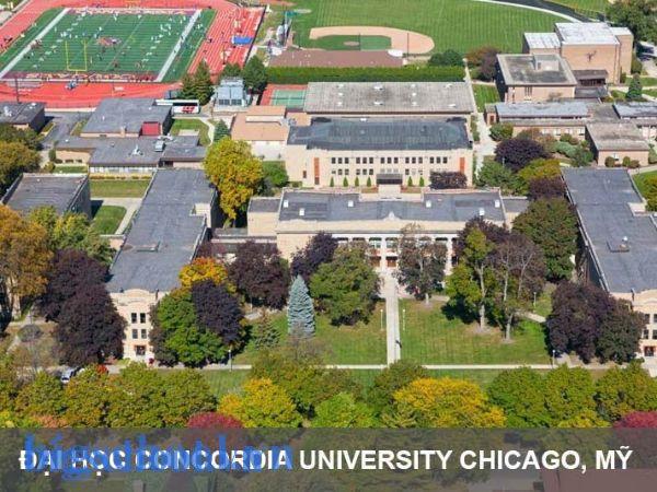 1 môn dưới 6.5: Điều kiện, cách cứu vãn học sinh giỏi 2025