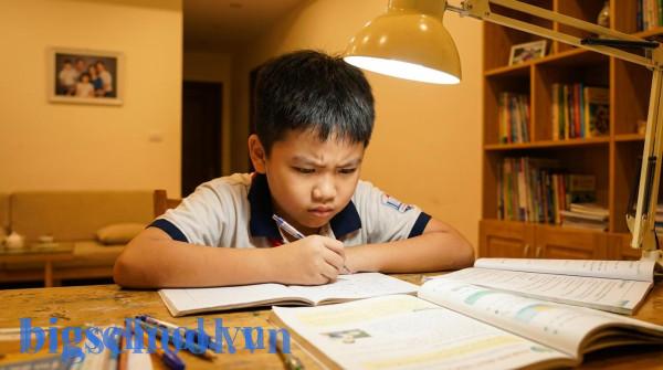 5 môn trên 8 có được học sinh giỏi không? Giải mã tiêu chí 2025. 4 Học sinh Việt Nam chăm chỉ học tập tại nhà hướng tới xếp loại học lực khá giỏi.