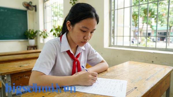 Học sinh lớp 12 tại Việt Nam đang tập trung theo dõi điểm trung bình các môn trong học bạ.