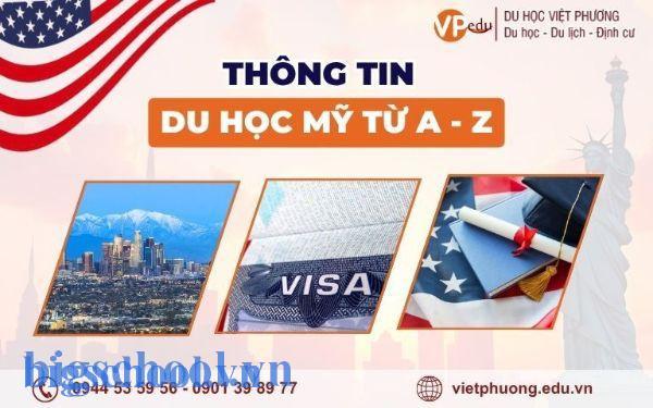 Học Dược: Tiếng Anh có cần giỏi không? Lộ trình IELTS 6.5+ 2025