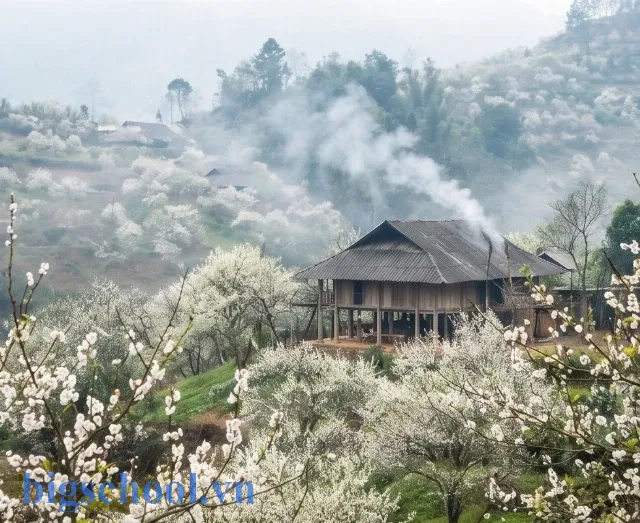 Khung cảnh bình yên với khói bếp trên bản làng vùng cao trong ảnh mùa xuân chill