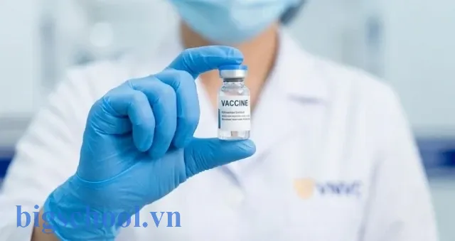 Tìm hiểu bảng giá tiêm chủng VNVC để lựa chọn các loại vắc xin phế cầu chất lượng