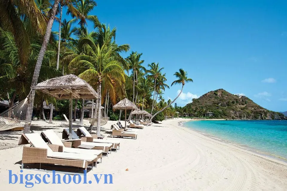 Bờ biển Việt Nam dài bao nhiêu km?