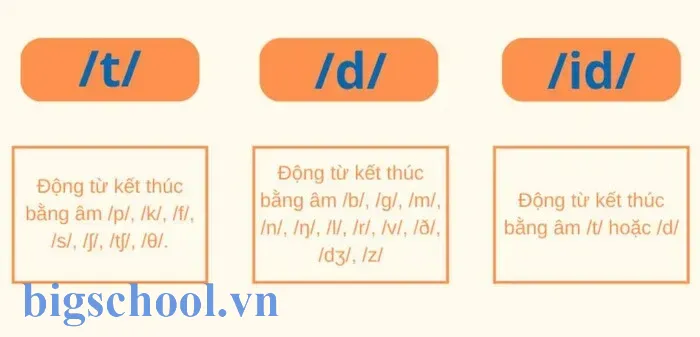 Hướng dẫn câu thần chú ed đơn giản