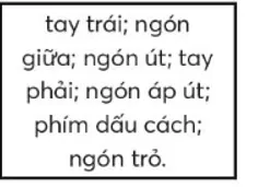 Hướng dẫn cách đặt tay đúng trên bàn phím máy tính cho học sinh lớp 3