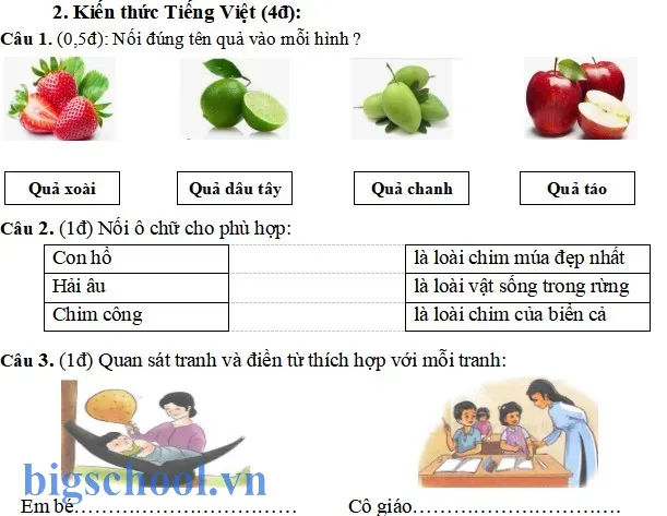 Đề kiểm tra đọc hiểu và trắc nghiệm Tiếng Việt lớp 1