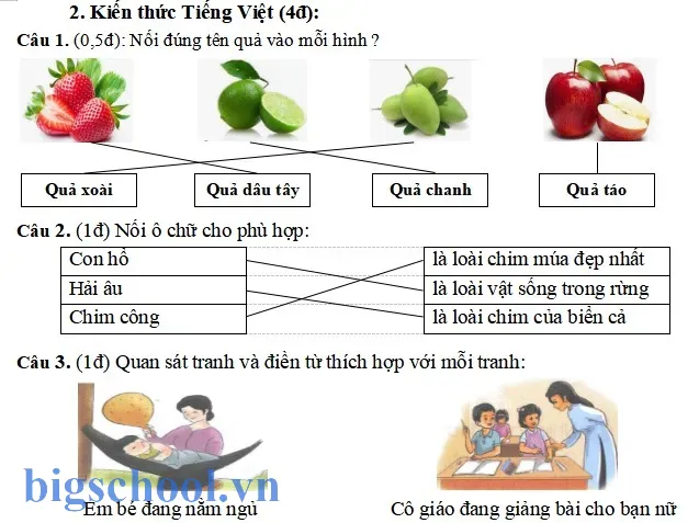 Đáp án chi tiết và hướng dẫn chấm điểm môn Tiếng Việt