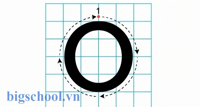 Cách xác định tọa độ và viết nét cong kín tròn trịa trong các nét cơ bản của lớp 1