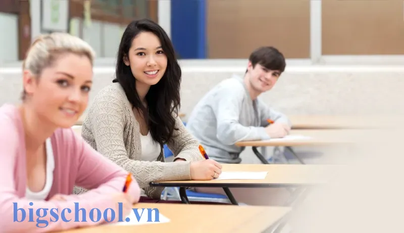 Chứng chỉ IELTS đánh giá chính xác khả năng sử dụng tiếng Anh trong môi trường thực tế