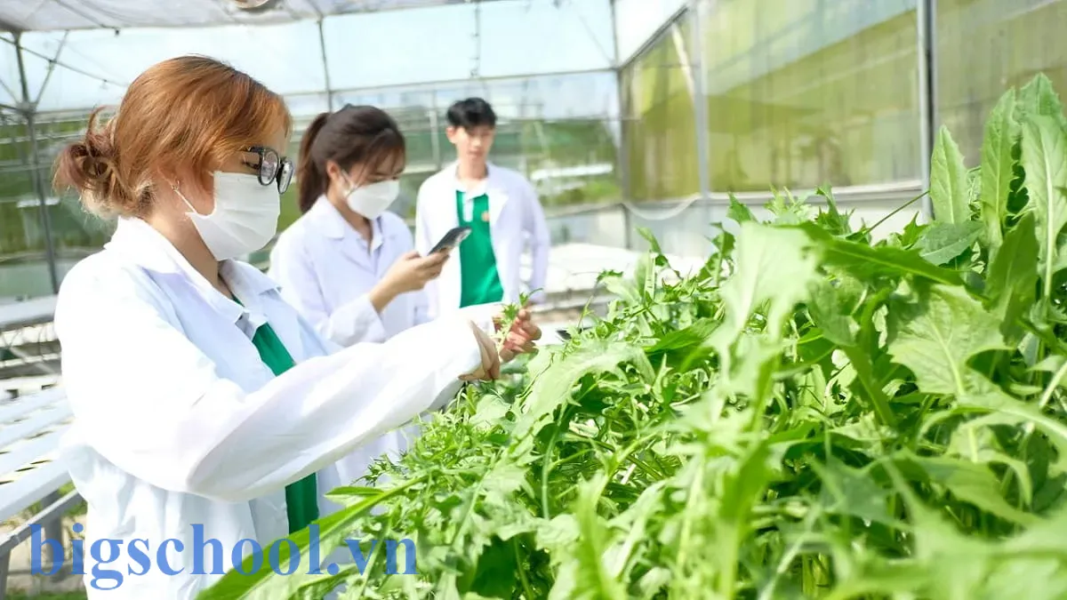 Ứng dụng công nghệ cao vào canh tác nông nghiệp hiện đại