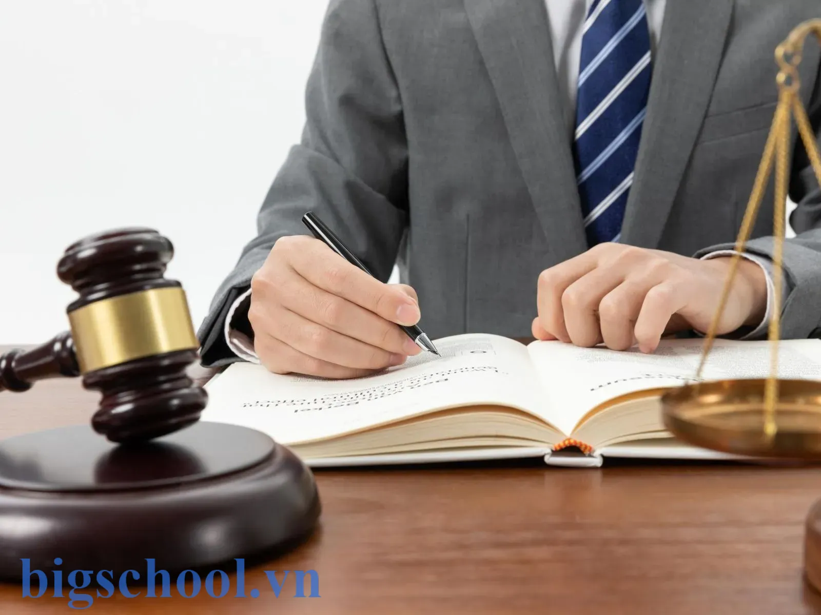 Ngành luật thường được tuyển sinh dựa trên điểm khối C03