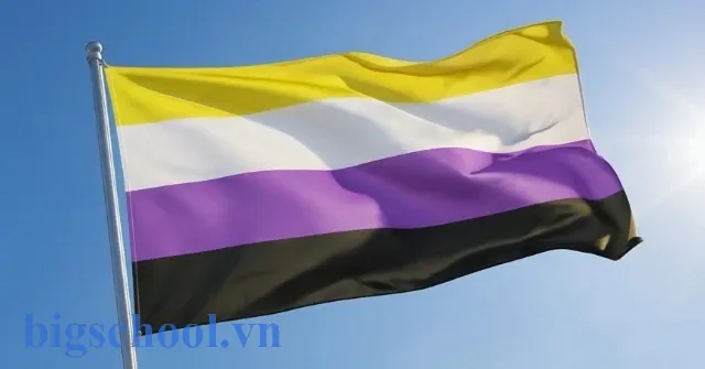 Khám phá ý nghĩa các màu sắc trên lá cờ của người phi nhị giới