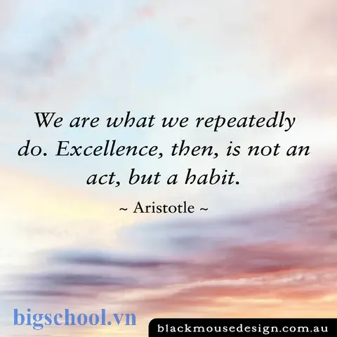 Aristotle Và “excellence Is A Habit”: Cách Biến Sự Xuất Sắc Thành Thói Quen Hàng Ngày 1 Aristotle Excellence Is A Habit