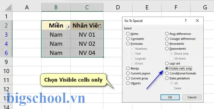 Cách Copy File Lọc Trong Excel: Hướng Dẫn Chi Tiết Từ Cơ Bản Đến Nâng Cao 11 Cách Copy File Lọc Trong Excel