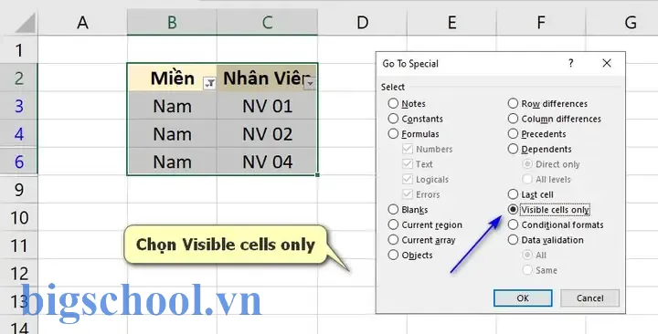 Cách Copy Khi Lọc Trong Excel