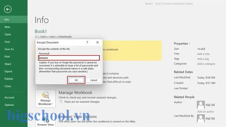 Cách Gỡ Password File Excel
