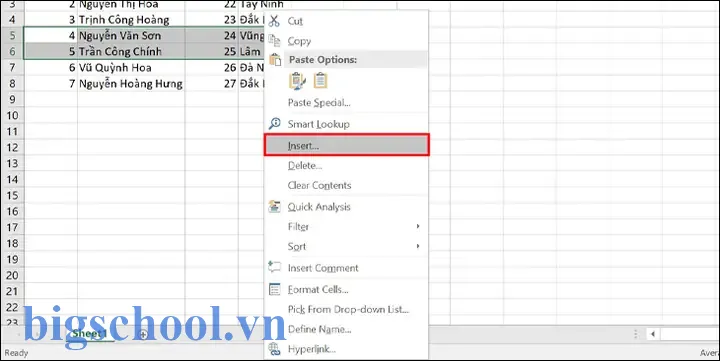 Cách Thêm Nhiều Dòng Trong Excel: Hướng Dẫn Chi Tiết Từ Cơ Bản Đến Nâng Cao 13 Cách Thêm Nhiều Dòng Trong Excel