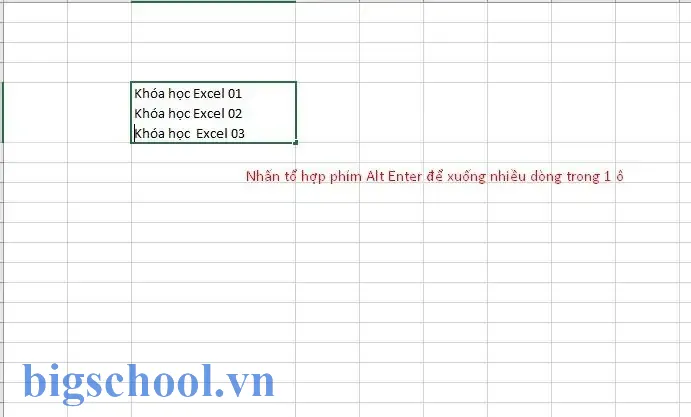 Cách Viết Chữ Trong 1 Ô Excel: Hướng Dẫn Chi Tiết Từ Cơ Bản Đến Nâng Cao 19 Cách Viết Chữ Trong 1 Ô Excel