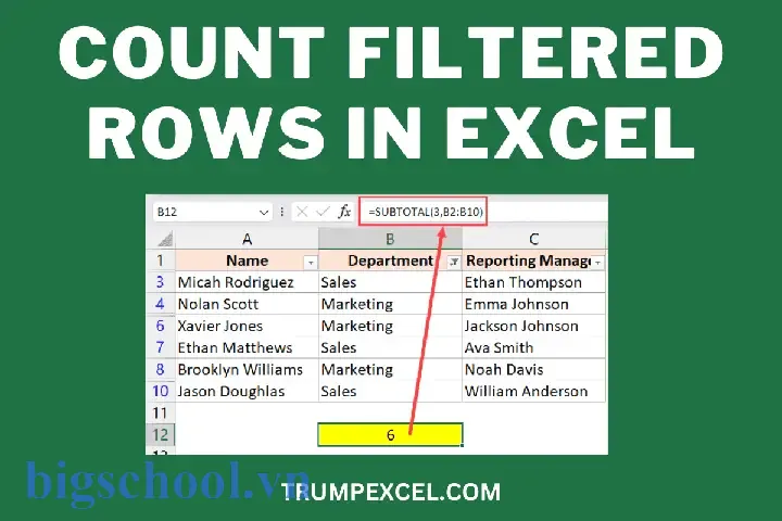 Count Filtered Rows In Excel