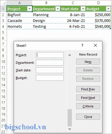 Create Input Form In Excel