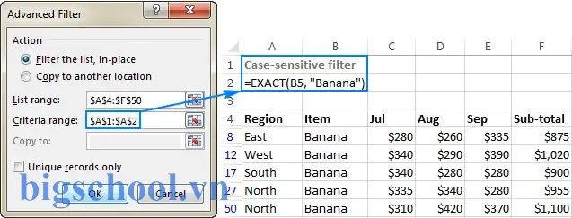 Criteria Range Advanced Filter Excel