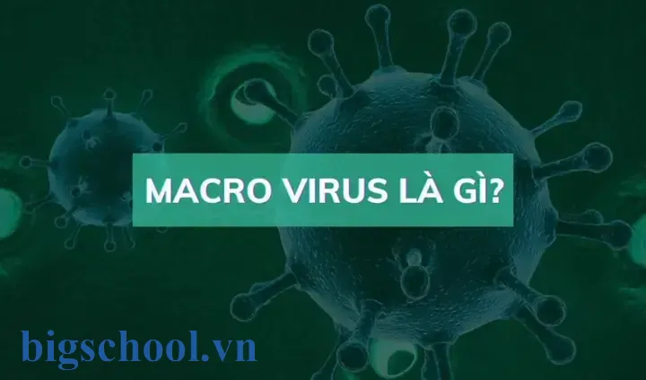 Diệt Virus Macro Trong Excel: Hướng Dẫn Chi Tiết Và Hiệu Quả 11 Diệt Virus Macro Trong Excel
