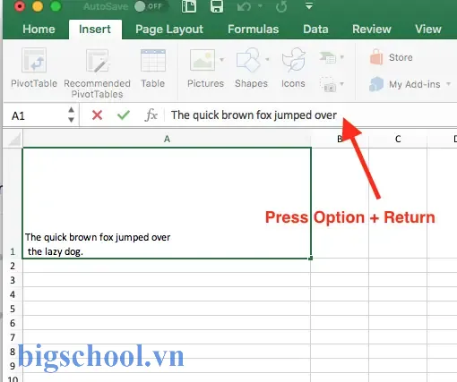 Cách Nhấn Enter Trong Ô Excel Trên Máy Tính Mac: Hướng Dẫn Chi Tiết Từ A Đến Z 9 Enter In Excel Cell Mac