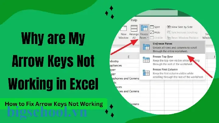 Excel Direction Keys Not Working
