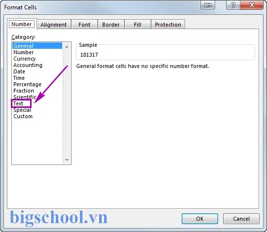 Excel Format Number As Text