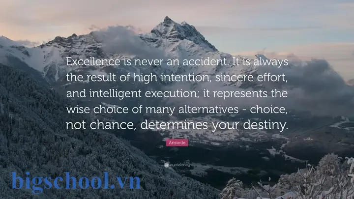 Excellence Is Never An Accident: Hành Trình Kiên Định Đến Thành Công 17 Excellence Is Never An Accident
