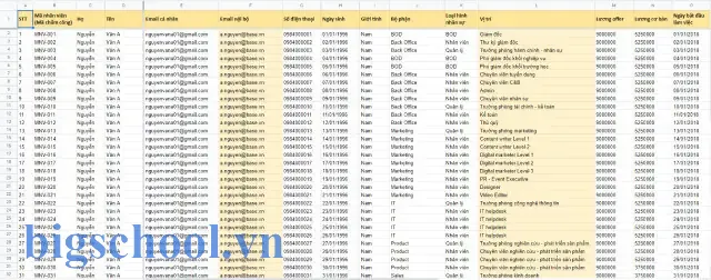 File Excel Quản Lý Nhân Viên: Hướng Dẫn Chi Tiết Từ A Đến Z 19 File Excel Quản Lý Nhân Viên