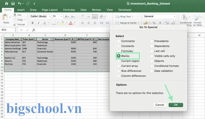 Find Empty Cells In Excel