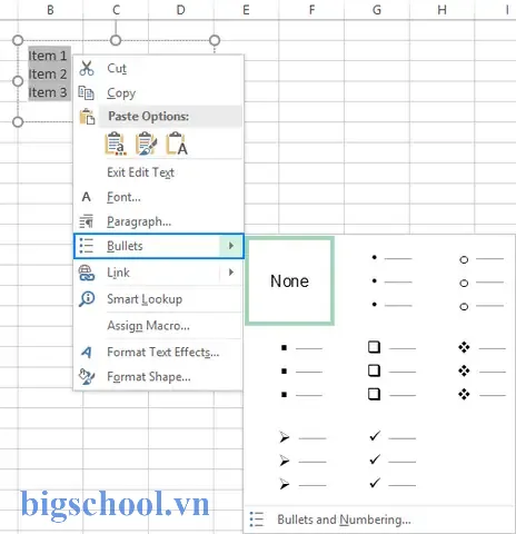 Insert Bullet Points In Excel